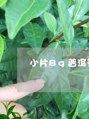 小片8g普洱茶怎么拍/2023092711894