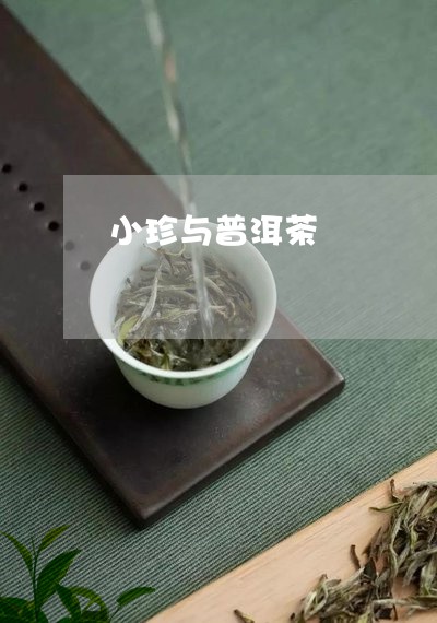 小珍与普洱茶/2023042915329