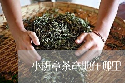 小班章茶产地在哪里/2023042568368