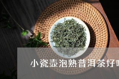 小瓷壶泡熟普洱茶好吗能喝吗/2023082828623