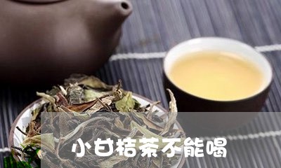 小甘桔茶不能喝/2023042945859