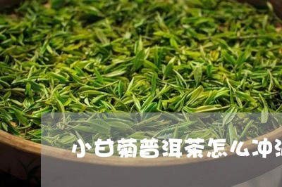 小甘菊普洱茶怎么冲泡最好/2023082940473