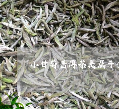 小甘菊普洱茶是属于什么茶/2023081503047