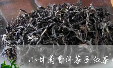 小甘菊普洱茶是红茶吗/2023092818404