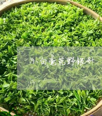 小白毫荒野银针/2023112508260