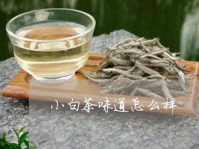 小白茶味道怎么样/2023061940625