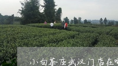 小白茶庄武汉门店在哪/2023100142595