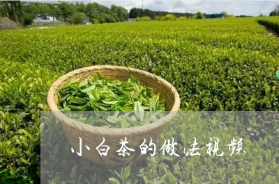 小白茶的做法视频/2023062021905