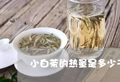 小白茶的热量是多少千卡/2023102528392