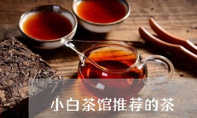 小白茶馆推荐的茶/2023062129582