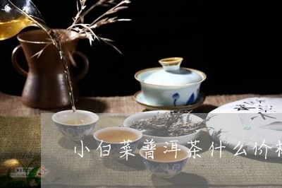 小白菜普洱茶什么价格/2023062357362