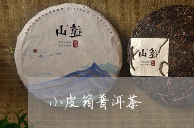 小皮箱普洱茶/2023112684048