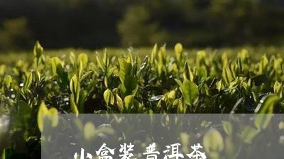 小盒装普洱茶/2023042826228