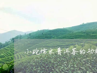 小砣糯米普洱茶的功效/2023072459583