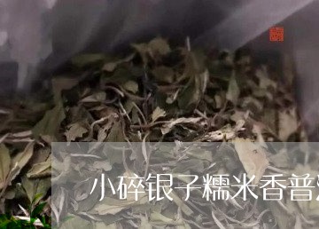 小碎银子糯米香普洱茶/2023073007251