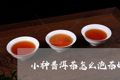 小种普洱茶怎么泡茶好喝/2023112809361