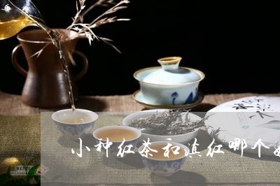 小种红茶和滇红哪个好红茶滇红茶/2023060354038