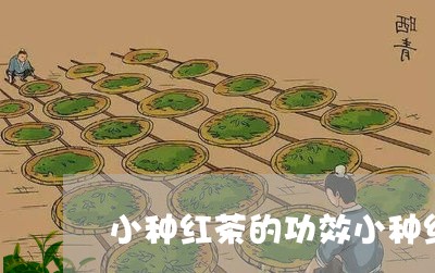 小种红茶的功效小种红茶有哪些品种/2023060466258