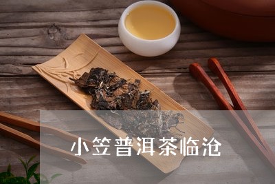 小笠普洱茶临沧/2023110591705