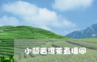 小简普洱茶直播间/2023120403736