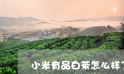 小米有品白茶怎么样了/2023093089592