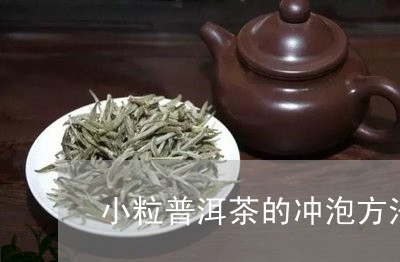 小粒普洱茶的冲泡方法和时间/2023121699509