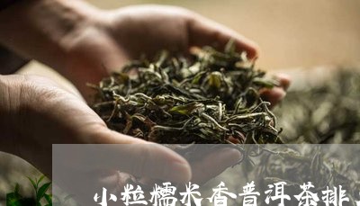 小粒糯米香普洱茶排名/2023080214614