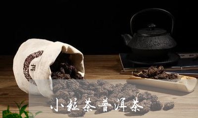 小粒茶普洱茶/2023042827639