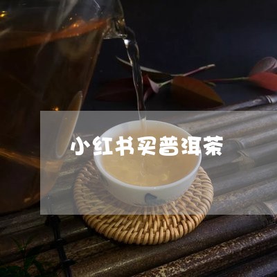 小红书买普洱茶/2023121636285