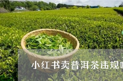 小红书卖普洱茶违规吗/2023082744825