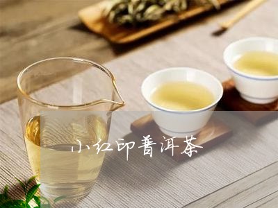 小红印普洱茶/2023042772250