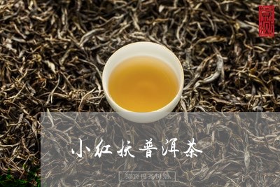 小红妖普洱茶/2023042684208