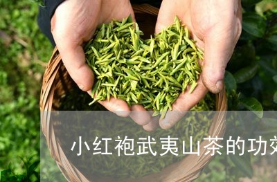 小红袍武夷山茶的功效/2023071538360