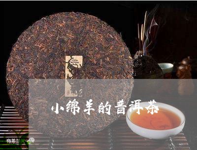 小绵羊的普洱茶/2023120312625