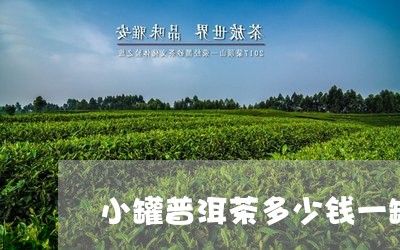 小罐普洱茶多少钱一罐/2023092579393