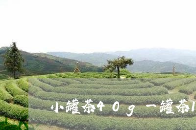 小罐茶40g一罐茶10小罐价格/2023060200592