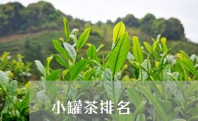 小罐茶排名/2023121982713