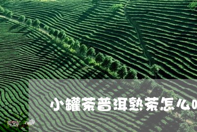 小罐茶普洱熟茶怎么喝/2023092401401