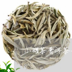 小罐茶普洱茶一股香味/2023062141795