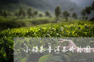 小罐茶普洱茶价格图片及价格/2023052789391