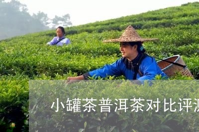 小罐茶普洱茶对比评测/2023080306206