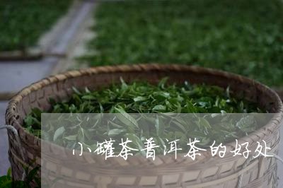 小罐茶普洱茶的好处/2023071026260