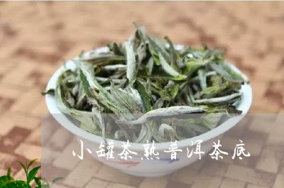 小罐茶熟普洱茶底/2023082963704