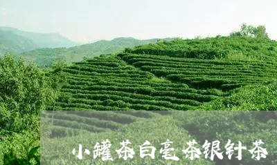 小罐茶白毫茶银针茶/2023120680483