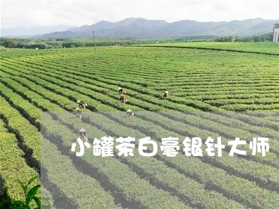 小罐茶白毫银针大师/2023091405151