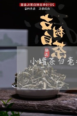 小罐茶白毫银针泡法/2023091417263