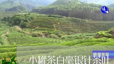 小罐茶白毫银针茶叶/2023120687259