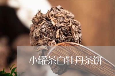 小罐茶白牡丹茶饼/2023090636147