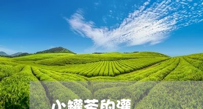 小罐茶的灌/2023090277582