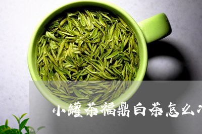 小罐茶福鼎白茶怎么冲/2023120820514